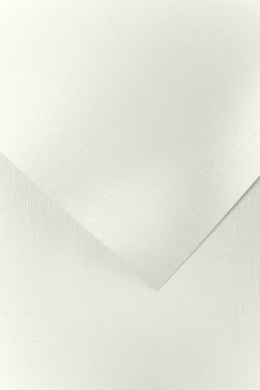 Papier GP A4/230g Holland diamentowa biel (20)